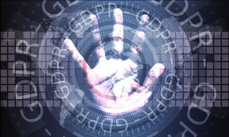 数字化体育场馆管理平台建设与应用分析，体育场馆智能化系统