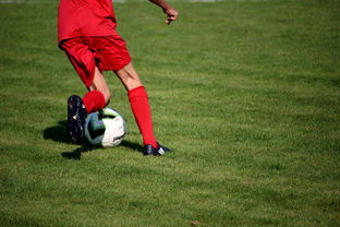 法甲营养恢复系统提升球员赛季稳定性调查